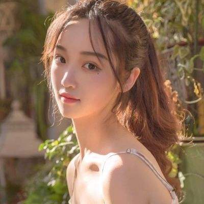 魔力龙之纹章游戏下载
